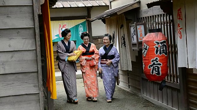 日本历史村庄里的艺妓视频购买