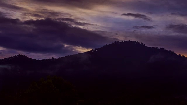 雨后的热带雨林视频下载