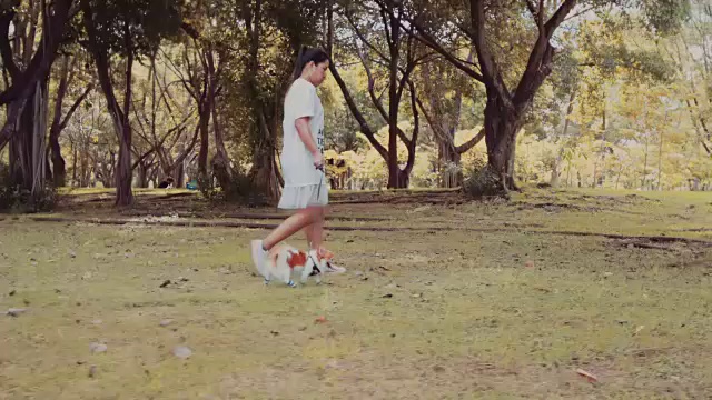 女孩和吉娃娃狗在公园里散步视频下载