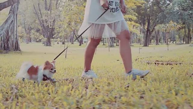 女孩和宠物狗散步视频下载