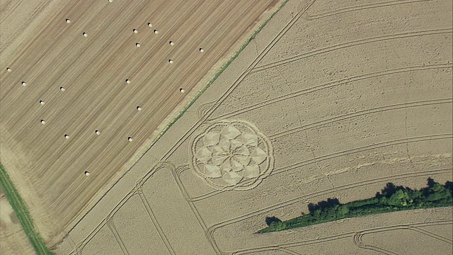 德国黑塞，卡塞尔，农田上雕刻的空中花视频素材