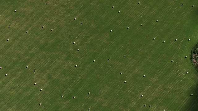 德国下萨克森州，田野和树林中的空中干草视频素材