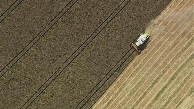 空中ZI拖拉机耕地，萨克森-安哈尔特，德国视频素材