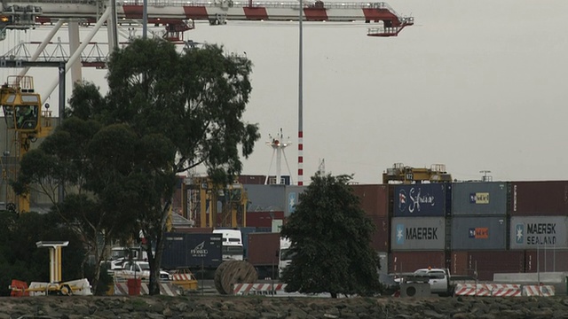 澳大利亚维多利亚州墨尔本码头的MS TD货运集装箱视频素材