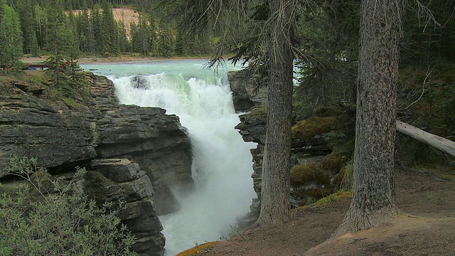 阿萨巴斯卡瀑布，贾斯珀国家公园，加拿大阿尔伯塔省视频下载