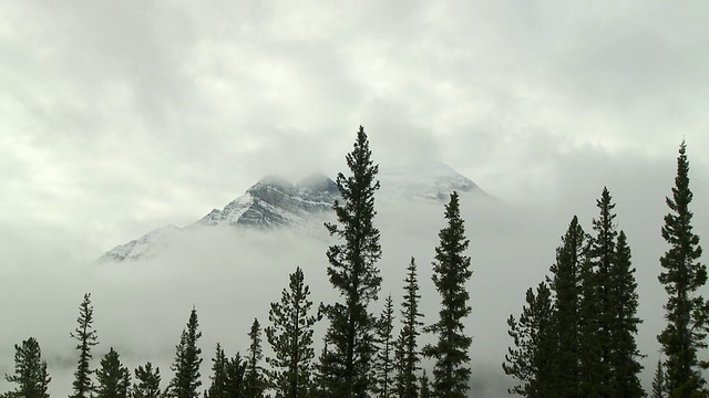 乌云覆盖着雪山的山峰，前景中的常青树/路易斯湖，班夫国家公园，加拿大阿尔伯塔省视频素材