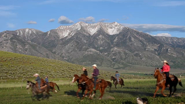 一大群牛仔和女牛仔骑着马视频下载