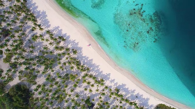 浆向上旋转的波浪和沙子在加勒比海的一个礁与绿松石水域。这段视频摄于委内瑞拉莫罗科伊国家公园Cayo Sombrero视频素材
