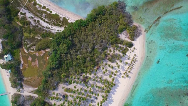 鸟瞰海浪和沙子与绿松石水域的加勒比礁。这是在委内瑞拉莫罗coy国家公园的Cayo Peraza拍摄的视频视频素材