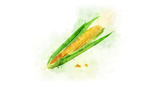 玉米水彩画动画视频下载