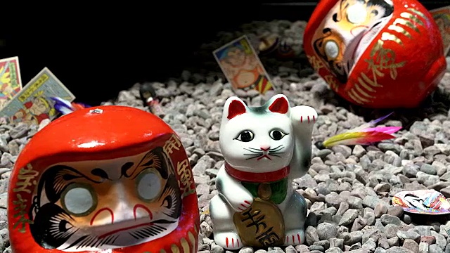 日本象征着幸运的猫。猫和达摩娃娃。视频下载