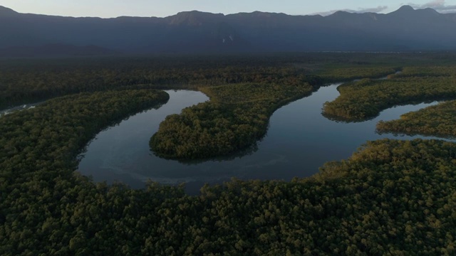 玛塔亚特兰提卡-在巴西圣保罗Boraceia的大西洋森林视频下载
