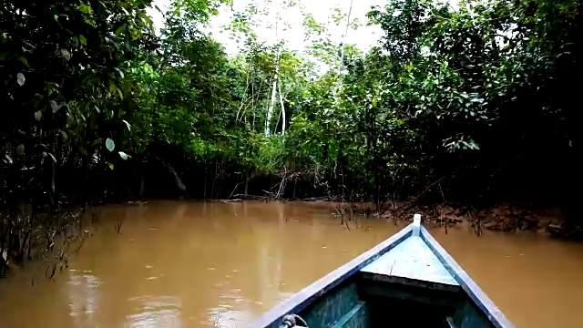 独木舟穿越被洪水淹没的丛林，前往偏远的土著社区视频下载