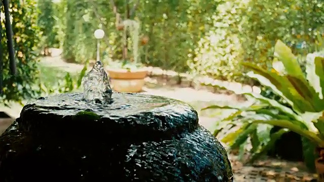 家花园里美丽的喷泉视频下载