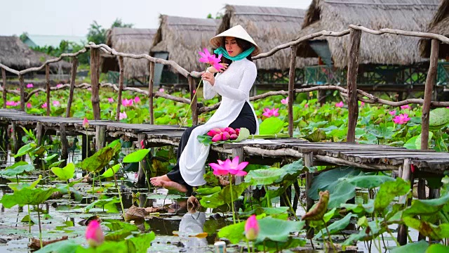 越南妇女抱着莲花坐在莲花地里，越南视频下载