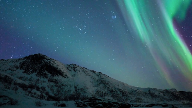 北极光，北极光或北极光在夜空中在罗浮敦群岛在挪威视频购买