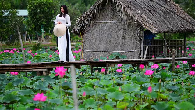 越南妇女举着莲花在莲花地里行走视频下载