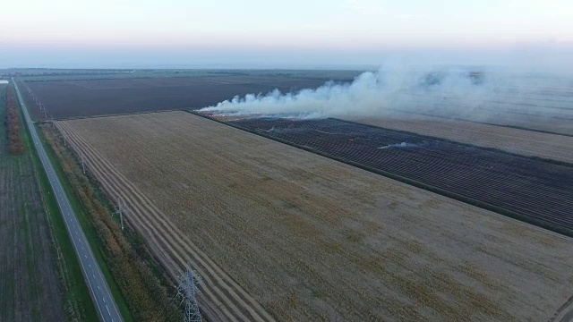 小麦收割后在田里燃烧秸秆。视频素材