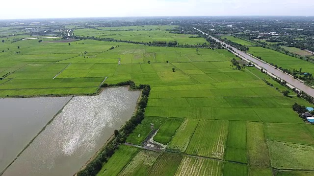 空中拍摄的美丽的一天在农村地区的水稻梯田视频下载