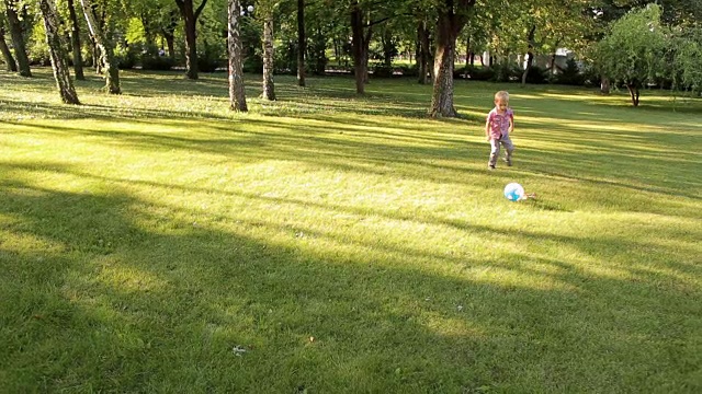 一个小男孩在阳光明媚的公园里的绿色草地上踢足球。视频素材