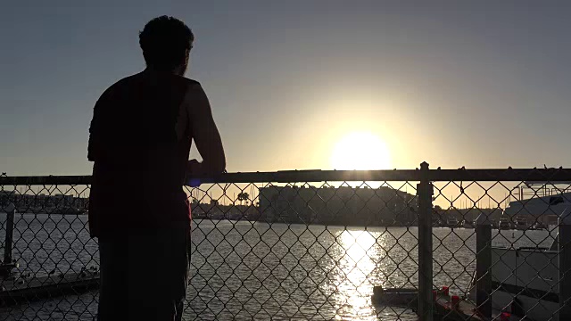 一个游客在海湾看日落的剪影视频素材