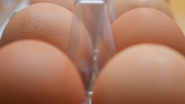 塑料蛋盒中有大量的新鲜有机鸡蛋排4K视频下载