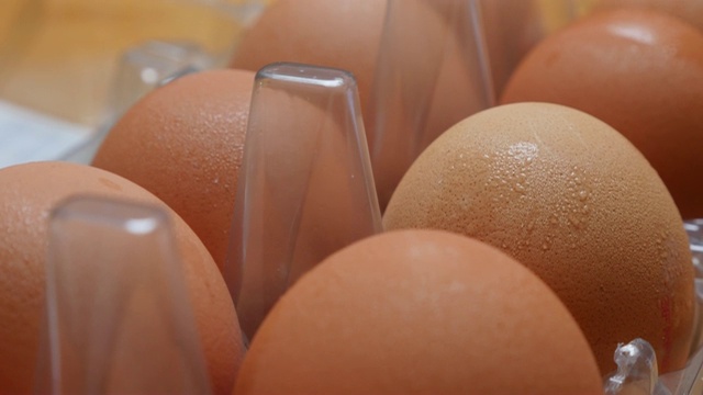 蛋盒用大量的新鲜有机鸡蛋排4K视频下载