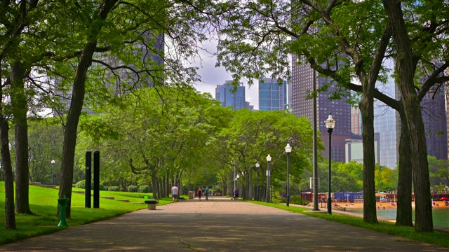 公园。芝加哥。背景中的商务区视频素材