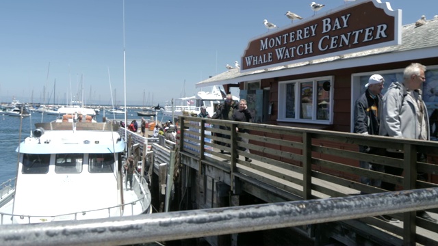 人们和商店在老渔人码头和观鲸船，蒙特利半岛，美国，北美洲视频素材