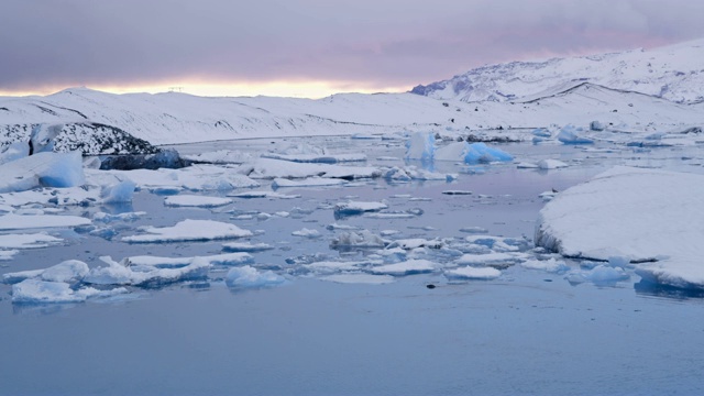 海豹在冰岛Jokulsarlon泻湖冰冷遥远的海洋中游泳视频素材