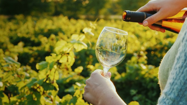 以葡萄园为背景，将葡萄酒倒进玻璃杯。葡萄酒旅游的概念视频下载