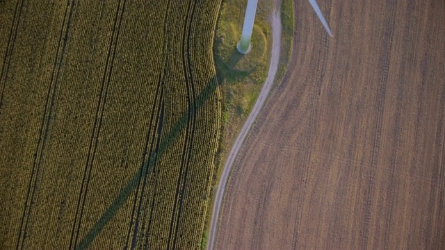 正上方的农业，玉米田和风力涡轮机岛上的Fehmarn -石勒苏益格-荷尔斯泰因，德国视频下载