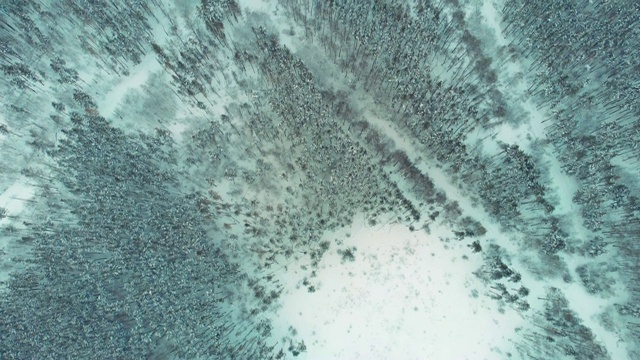 无人机在冬季森林草地上空飞行，美丽的雪景背景视频下载