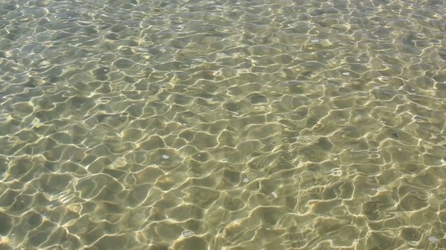 清澈的水面上有小波浪，动作缓慢，用美丽的阳光折射在水下的沙砾上荡漾视频素材