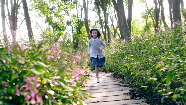 亚洲小女孩跑过公园的花田视频素材