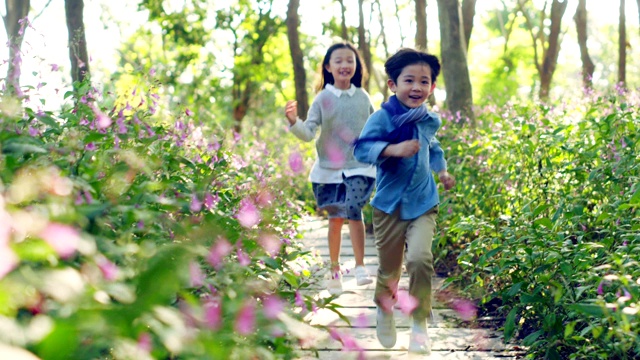 亞洲小孩在花地里奔跑視頻素材
