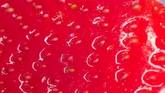 草莓皮上隆起的微距镜头视频下载