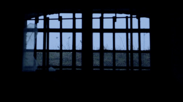 乌鸦的监狱窗户视频素材