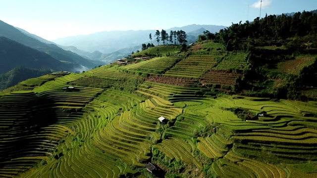 梯田在丘陵或山区耕作，通常在东部，南部和东南亚耕作视频下载