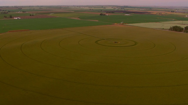 空中慢镜头低空飞行在两个巨大的圆形农田玉米作物和中心枢轴灌溉系统。视频下载