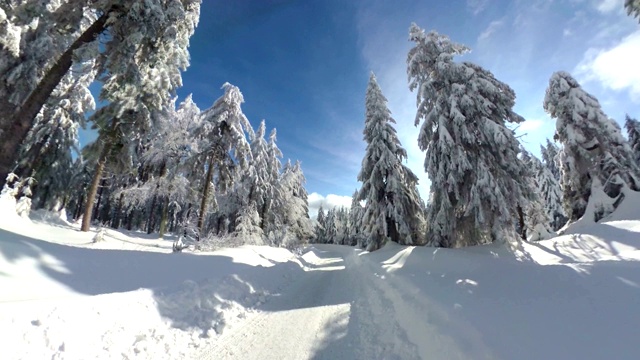 人走过美丽的冬季森林，VR360, 360度，360度，VR，小星球效果视频购买