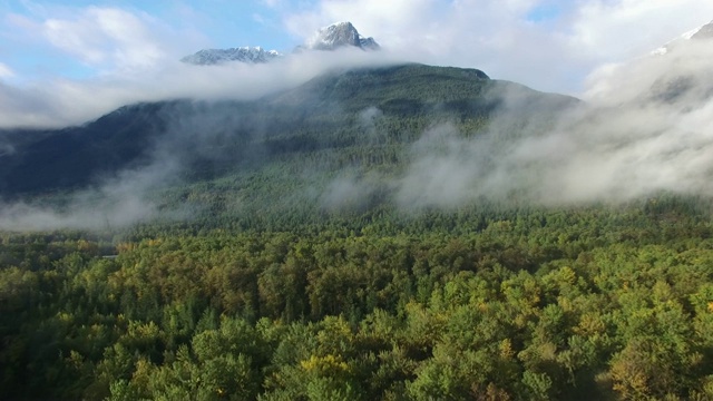 鸟瞰图:阳光明媚的绿色森林通向雾蒙蒙的山脉视频素材