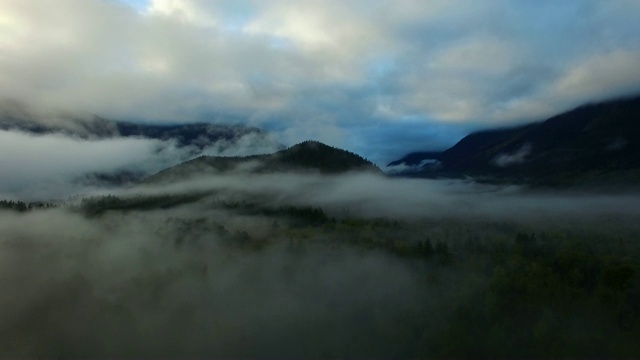 空中的:浓雾和云覆盖森林和山脉视频素材