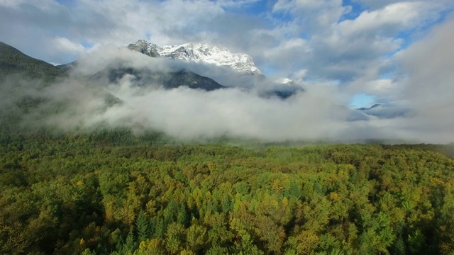 航拍图:茂密的绿色森林，雾蒙蒙的雪山视频素材