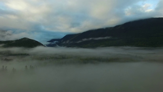 空中:浓雾包围着森林和山脉视频素材