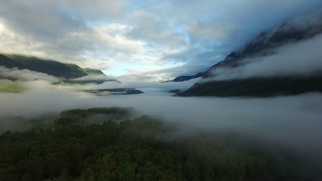空中:雾覆盖森林和山脉，明亮的蓝天视频素材