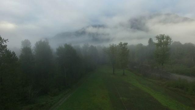 空中/上拍:绿色山谷和森林，浓雾覆盖森林和山脉视频素材