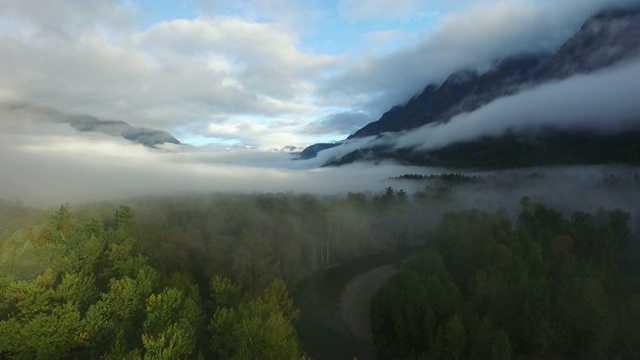 空中:茂密的森林，雾，通向高山，蓝天视频素材