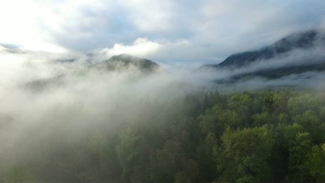 航拍:茂密的绿色森林、浓雾和群山，背景是蓝天视频素材