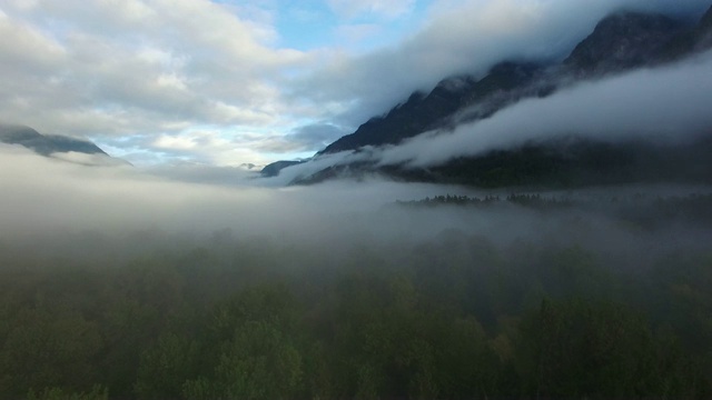 天线:浓雾覆盖森林和山脉，背景是蓝天视频素材